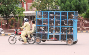 A motorcyclist on the way attached a huge bird cage with his motorcycle heading towards his destination.
