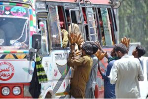 Vendors displaying and selling roasted corn cobs to attract customers at bus stop.