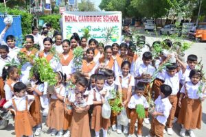 Students of school are showering water on the plant saplings during a plantation campaign at the Government anti-TB Hospital area in Latifabad