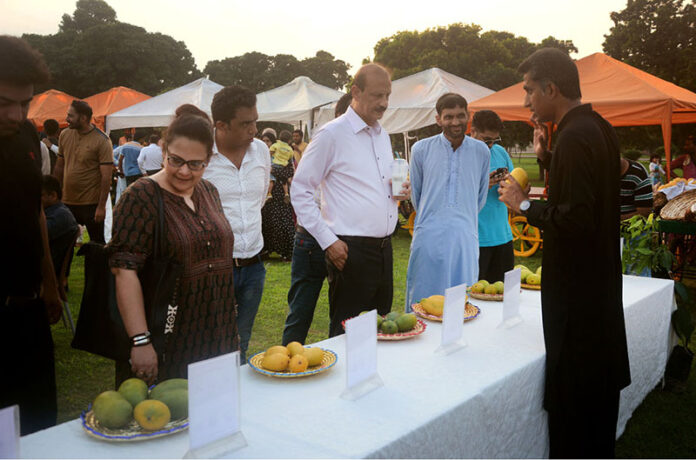 Director General of Walled City of Lahore Authority Kamran Lashari visits Shalimar Bagh Mango Festival organized by Walled City of Lahore Authority