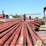 Industrial workers are busy straightening and dyeing long bamboo poles in the factory's hot furnace