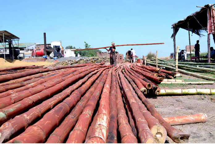Industrial workers are busy straightening and dyeing long bamboo poles in the factory's hot furnace