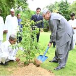 President Asif Ali Zardari planting a "Neem" sapling at Bilawal House as part of the Monsoon Tree Plantation Campaign