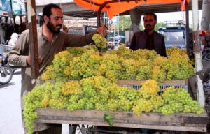 A vendor displaying and selling Grapes at roadside in the city.