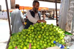 A vendor displaying and selling Grapes at roadside in the city.