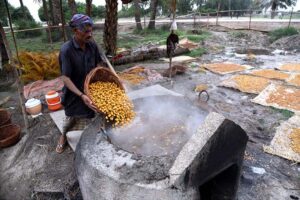 A farmer busy in boiling dates at his field near Kot Waleed.