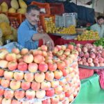 A vendor arranging and displaying Fruits to attract the customers at weekly bazaar in the Federal Capital