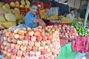 A vendor arranging and displaying Fruits to attract the customers at weekly bazaar in the Federal Capital