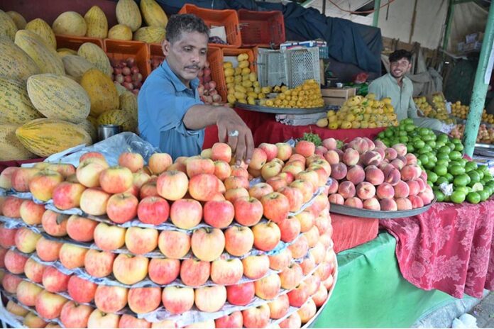 A vendor arranging and displaying Fruits to attract the customers at weekly bazaar in the Federal Capital