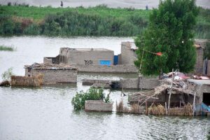 Residents of Saharash Nagar flooded, near the Indus River, as river waters overflow into homes, causing significant damage and widespread inundation.