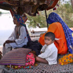 Women and children of Flood affected villages of Indus River area getting shelter on Larkana-Khairpur Road