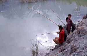 Youngster catching fishes in a traditional way at water pound.