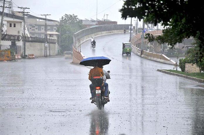 Rain