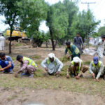 Parks and Horticulture Authority (PHA) gardeners planting grass to enhance the greenery around the Satukatla drain