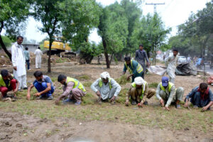 Parks and Horticulture Authority (PHA) gardeners planting grass to enhance the greenery around the Satukatla drain
