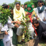 Commissioner Maryam Khan Planting a tree at Women University during 77th Independence Day of Pakistan
