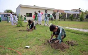 Students join Thalassemia children in a painting competition at the Sargodha Arts Council Art Gallery, showcasing creativity and compassion.