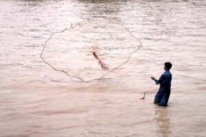 A fisherman spreading net to catch fishes in Rice Canal.