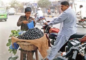 A young vendor selling seasonal Jaman fruit at the roadside in the city.