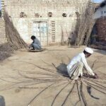 A worker is busy in making wooden baskets at his workplace in the city