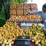 A vendor displays fruits on his roadside setup to attract the customers at F-10 area