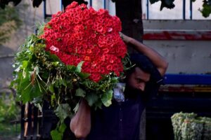 A labourer transports bundles of flowers to vendors at a wholesale flower market in the provincial capital.