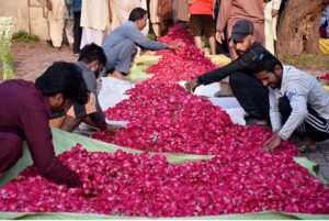 A labourer transports bundles of flowers to vendors at a wholesale flower market in the provincial capital.