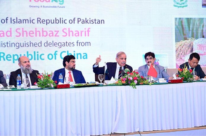 Prime Minister Muhammad Shehbaz Sharif addresses business delegates from the People's Republic of China