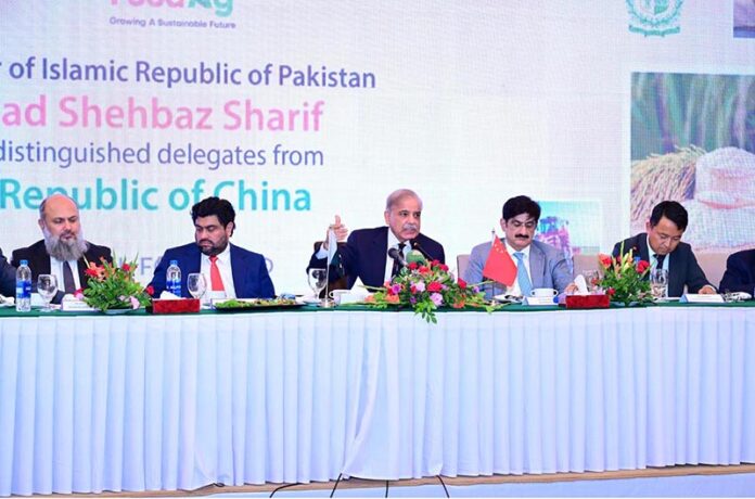Prime Minister Muhammad Shehbaz Sharif addresses business delegates from the People's Republic of China