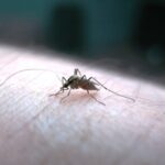 Pindi reports 17 more dengue cases, over Rs.9.3 mn fines imposed since Jan 25
