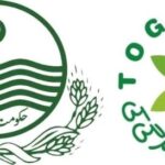 tuberculosis , treatment