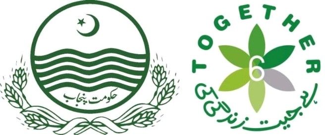 tuberculosis , treatment