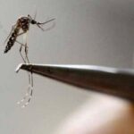 Consecutive meetings to review dengue prevention efforts
