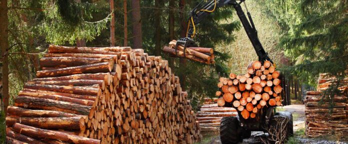 cutting trees