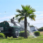 CDA worker watering plants to maintain the green belt ,keep the city green at Faizabad Interchange