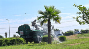 CDA worker watering plants to maintain the green belt ,keep the city green at Faizabad Interchange
