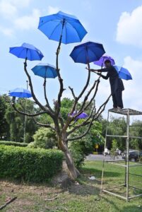 A CDA (Capital Development Authority) worker is busy installing umbrellas on a tree at the Kashmir Chowk for beautification of Federal Capital.