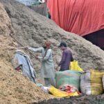 Labourers busy in packing husk into sacks to transport different areas at Pirwadhi in twin cities