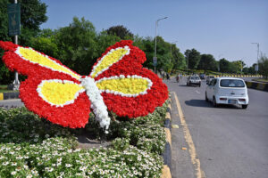A replica of butterfly installed at Kashmir Chowk in connection of beautification of the city