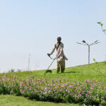 To keep the federal capital clean and green,CDA gardener trimming grass at Zero Point Interchange