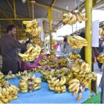 A vendor displaying bananas to attract the customers at his stall in the Sunday Bazaar, Aabpara