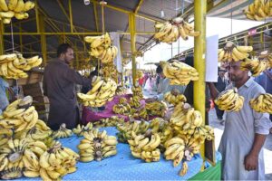 A vendor displaying bananas to attract the customers at his stall in the Sunday Bazaar, Aabpara