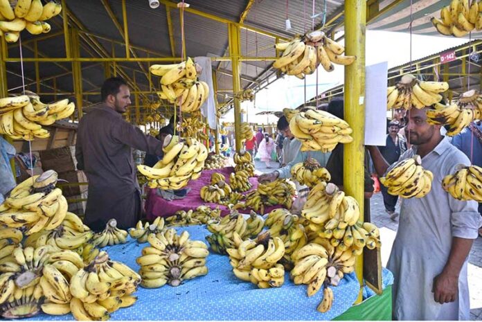 A vendor displaying bananas to attract the customers at his stall in the Sunday Bazaar, Aabpara
