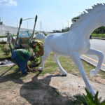 CDA worker planting saplings on green belt area at Rawal Chowk
