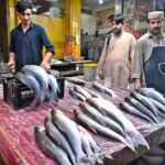 A vendor selling fish to customers outside his shop in a local market