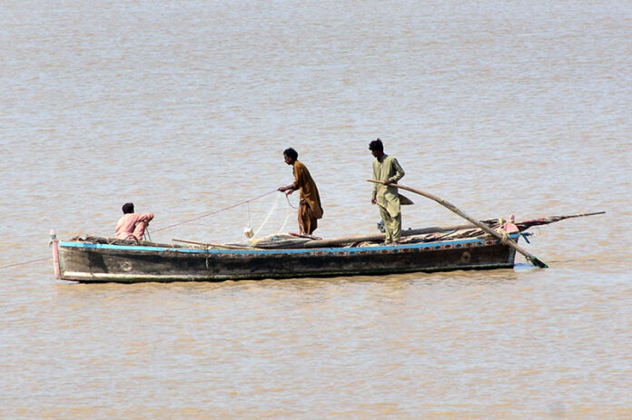Fishermen busy fishing on their boat after the water level of the Indus River rises
