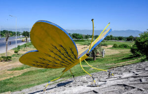 CDA installed butterfly model to enhance the beauty of the federal capital at Faizabad Interchange