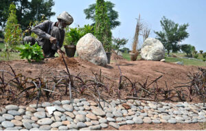 CDA worker busy sapling plants at greenbelt along with Expressway in the Federal Capital.
