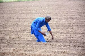 Farmer busy in routine work at his farm field.