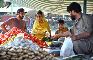 A vendor arranging and displaying bananas to attract the customers at Sunday Bazaar in the Federal Capital.